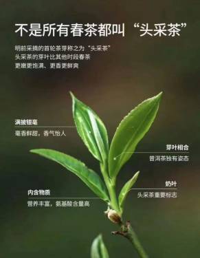 茶的药理特性6